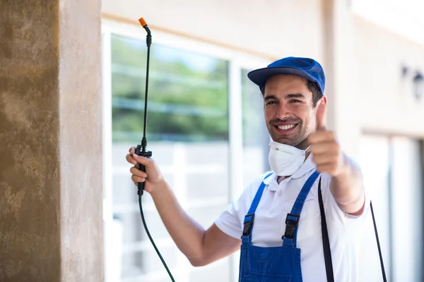 Deer Park Wasp Removal