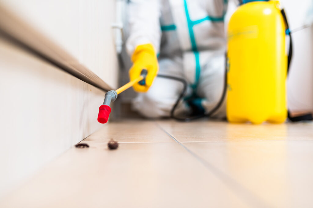 Deer Park Cockroach Experts