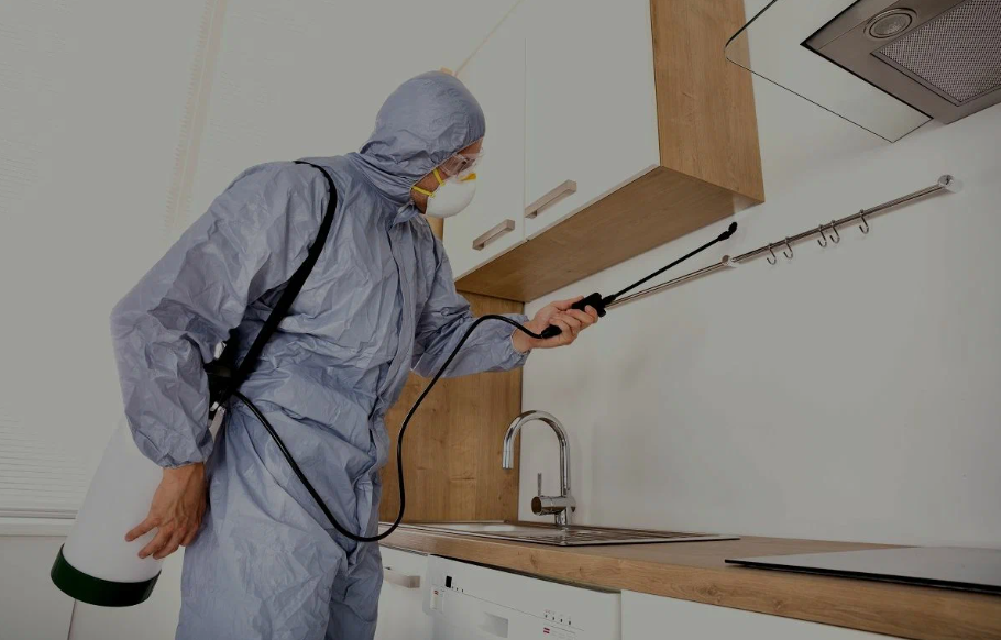 Deer Park pest managment